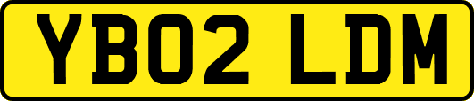 YB02LDM