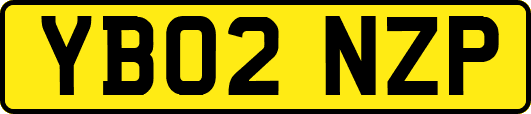 YB02NZP
