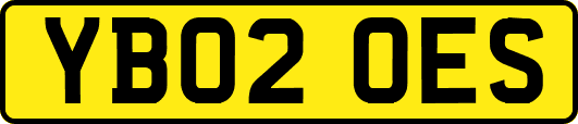YB02OES