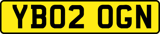 YB02OGN