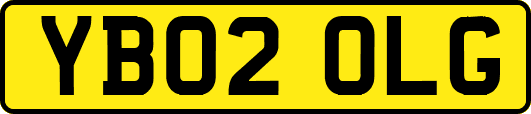 YB02OLG