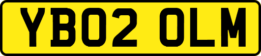YB02OLM