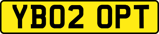 YB02OPT