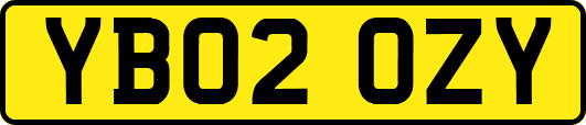 YB02OZY