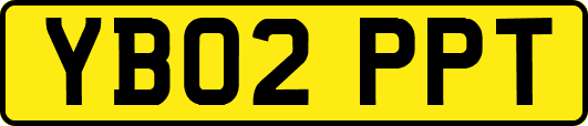 YB02PPT