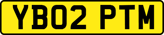 YB02PTM