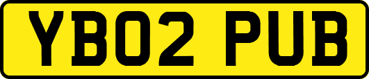 YB02PUB