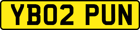 YB02PUN