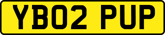 YB02PUP