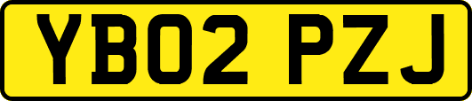 YB02PZJ