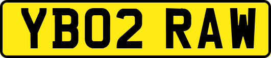 YB02RAW
