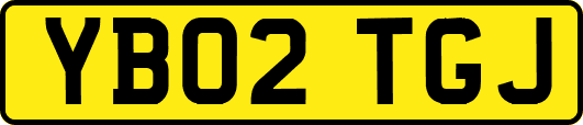 YB02TGJ