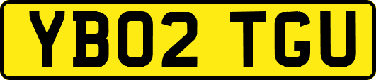 YB02TGU