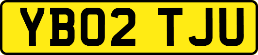 YB02TJU