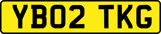 YB02TKG