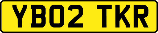 YB02TKR