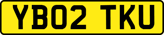 YB02TKU