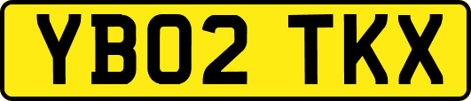 YB02TKX