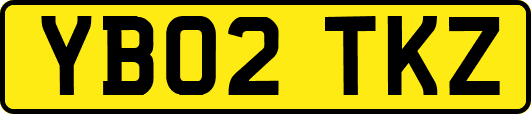 YB02TKZ