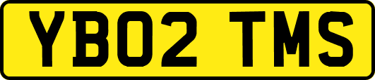 YB02TMS