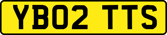 YB02TTS