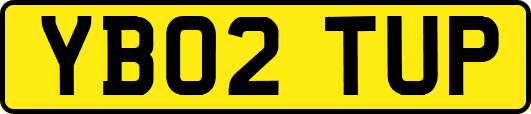 YB02TUP
