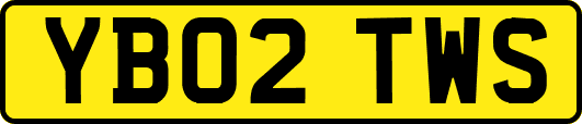 YB02TWS