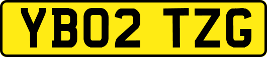 YB02TZG