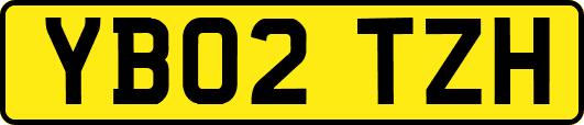 YB02TZH