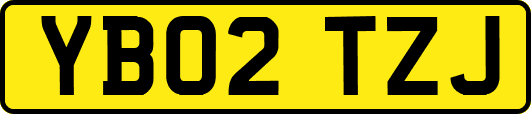 YB02TZJ