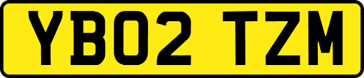 YB02TZM