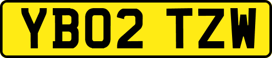 YB02TZW