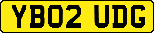 YB02UDG