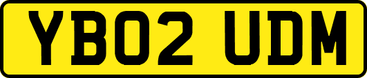 YB02UDM