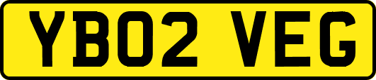 YB02VEG