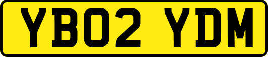 YB02YDM