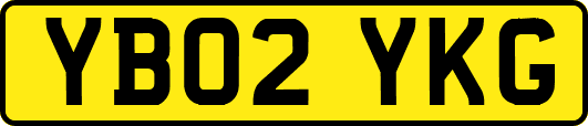 YB02YKG