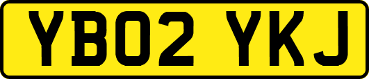 YB02YKJ