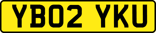 YB02YKU