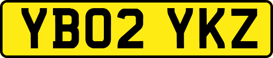 YB02YKZ