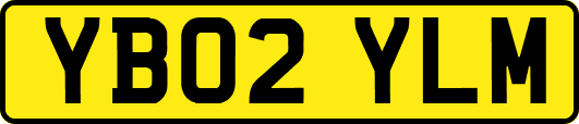 YB02YLM