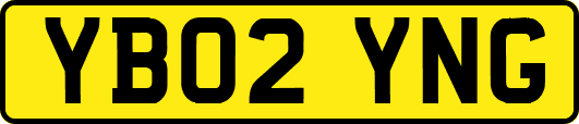 YB02YNG