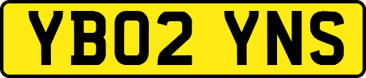 YB02YNS