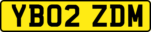 YB02ZDM