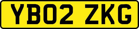 YB02ZKG