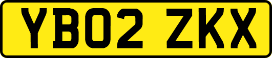 YB02ZKX