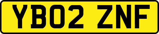 YB02ZNF