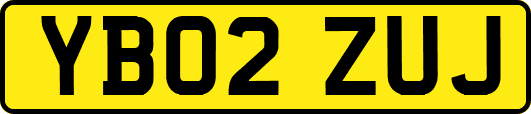 YB02ZUJ