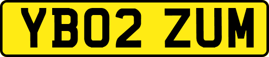 YB02ZUM