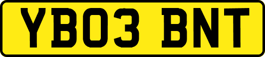 YB03BNT